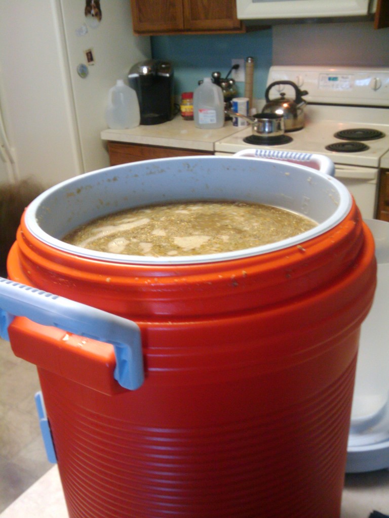 The mash tun, full of delicious malt